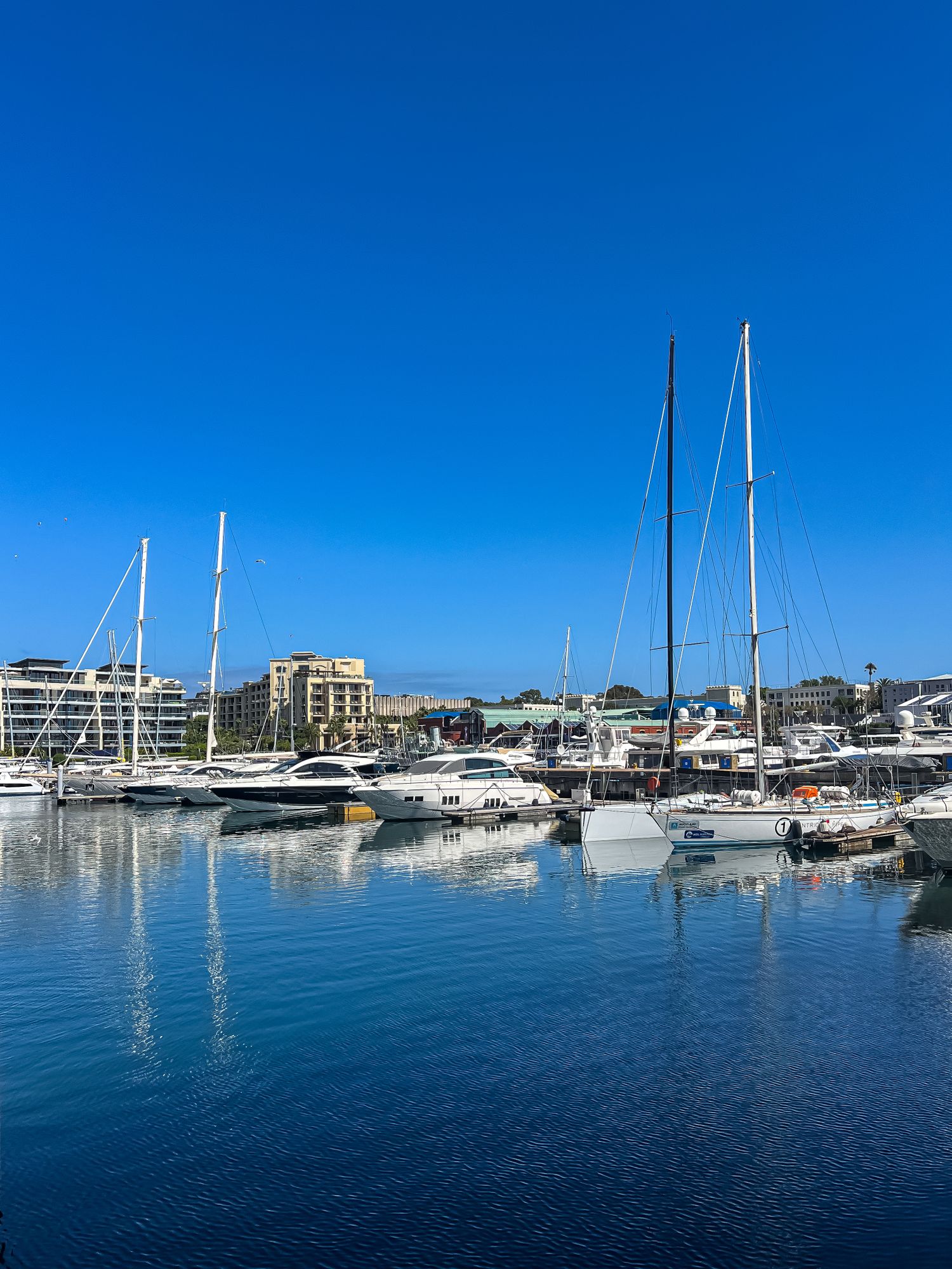 Yachts and sailboats moored in a calm marina